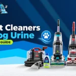Best Small Carpet Cleaners for Everyday Spills