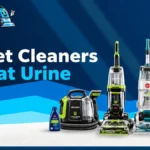 Best Carpet Cleaners for Pet Odors