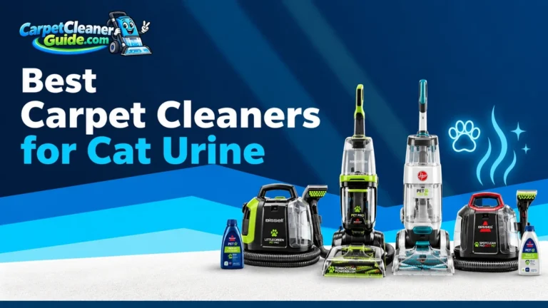 Best Carpet Cleaners for Cat Urine