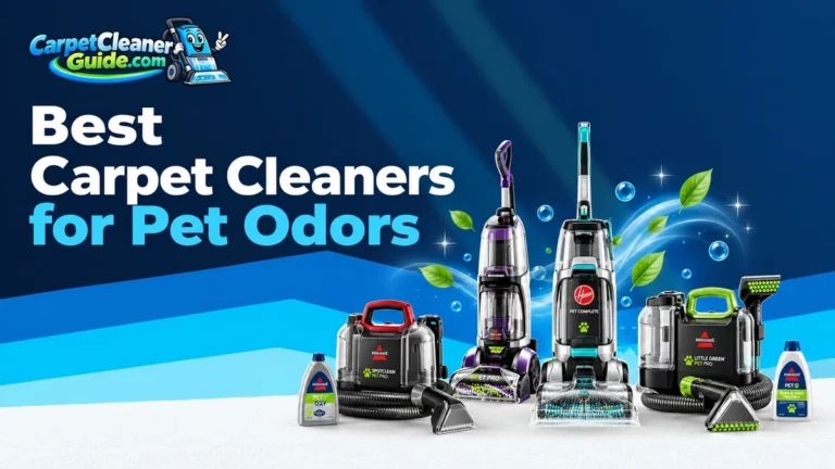 Best Carpet Cleaners for Pet Odors