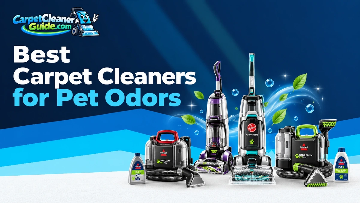 Best Carpet Cleaners for Pet Odors