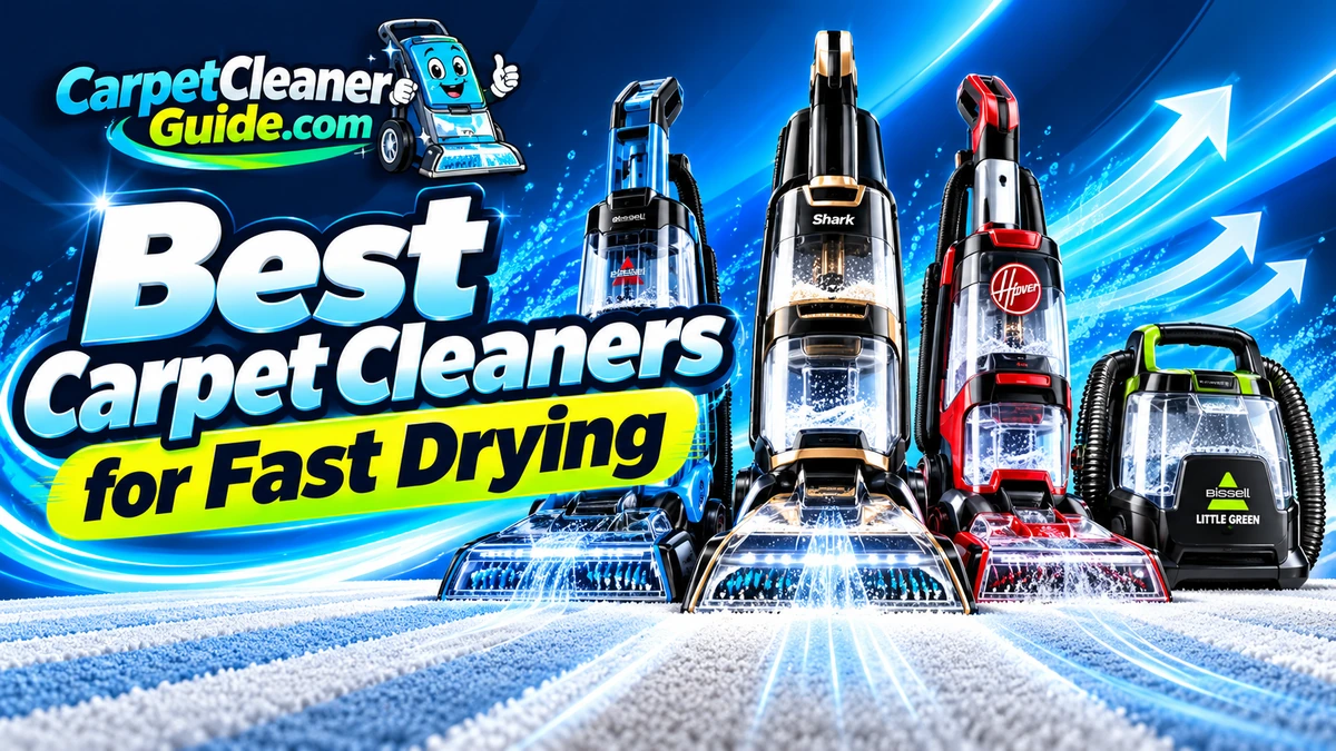 Best Carpet Cleaners for Fast Drying
