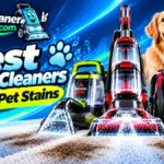 Best Carpet Cleaners for Pet Beds