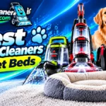 Best Carpet Cleaners for Fabric Sofas