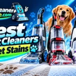 Best Portable Carpet Cleaners for Couches