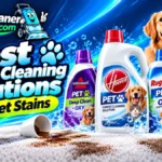 Best Carpet Cleaning Solutions for Portable Cleaners