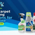 Best Portable Carpet Cleaners for Auto Detailing