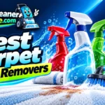 Best Oxy Carpet Cleaning Solutions